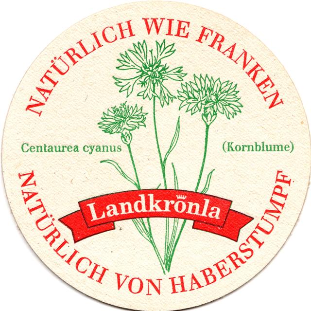 trebgast ku-by haber land 4b (rund215-kornblume-grnrot)